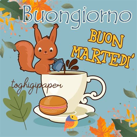 buon martedì autunnale immagini nuove|immagini buono mondo.